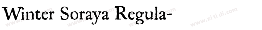 Winter Soraya Regula字体转换